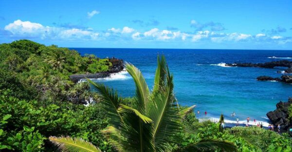 Maui: Road to Hana Waterfalls Tour With Lunch - Common Questions