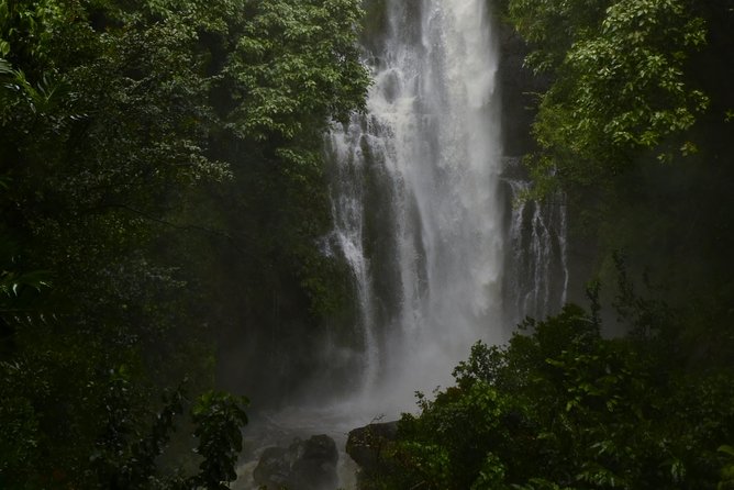 Maui Shore Excursion : Road to Hana Tour From Lahaina - Overall Great Tour Experience