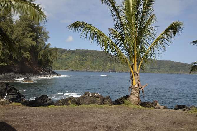 Maui Shore Excursion : Road to Hana Tour From Lahaina - Recommendations and Booking Information