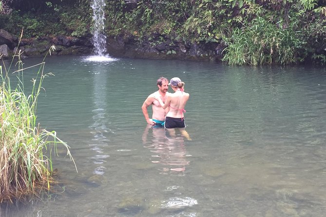 Maui Shore Excursion : Road to Hana Tour From Lahaina - Common Questions