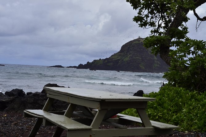 Maui Shore Excursion : Road to Hana Tour From Lahaina - The Sum Up