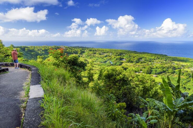 Maui: Small-Group Road to Hāna Sightseeing Tour - Activity Details