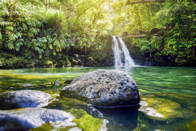 Maui: Small-Group Road to Hāna Sightseeing Tour - Customer Reviews