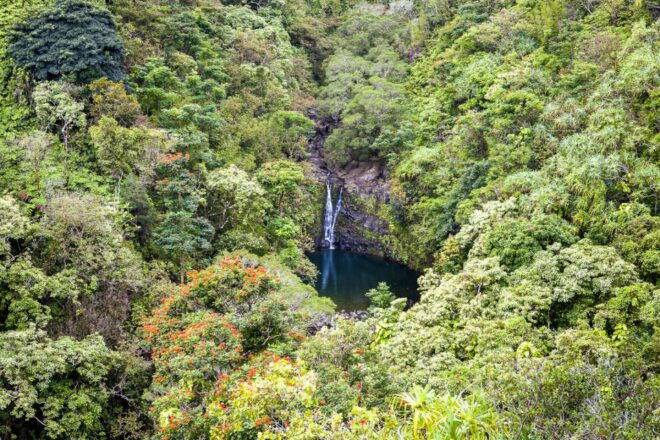 Maui: Small-Group Road to Hāna Sightseeing Tour - Review Examples