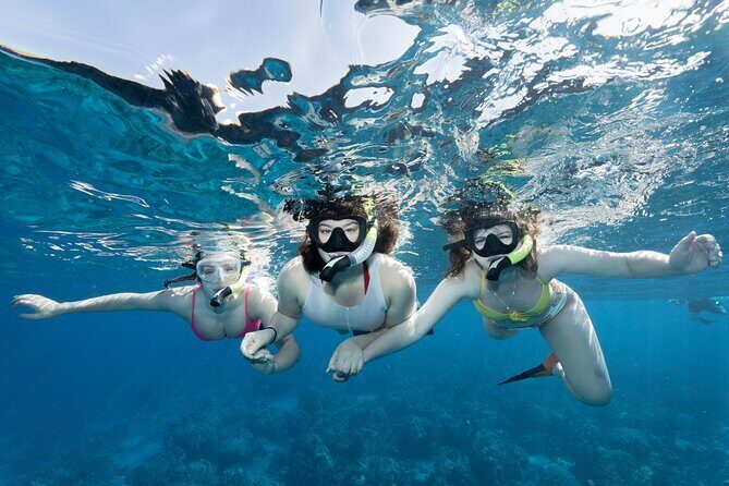 Maui Snorkeling Boat Tour to Turtle Town Aboard Quicksilver - Good To Know