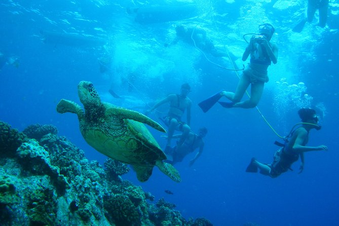 Maui Snorkeling Molokini Crater and Turtle Town Aboard Pride of Maui - Safety Measures