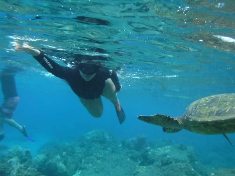 Maui: Snorkeling Tour with Gear and Instructor - Practical Details and Tips