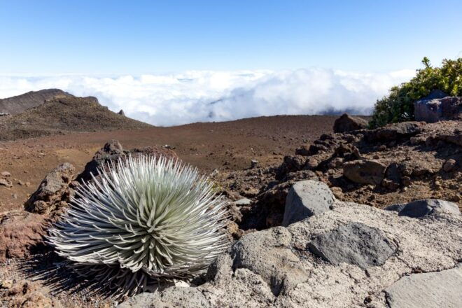 Maui: Sunrise & Breakfast Tour to Haleakala National Park - Additional Recommendations