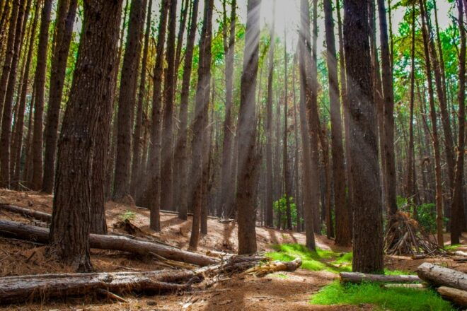 Maui: Sunrise Self-Guided Driving Tour - Frequently Asked Questions