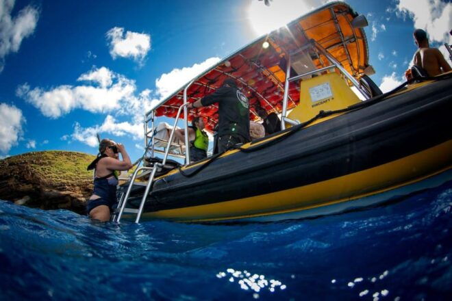 Maui: Thrilling Koa Kai Afternoon Snorkel Adventure - Participant Requirements