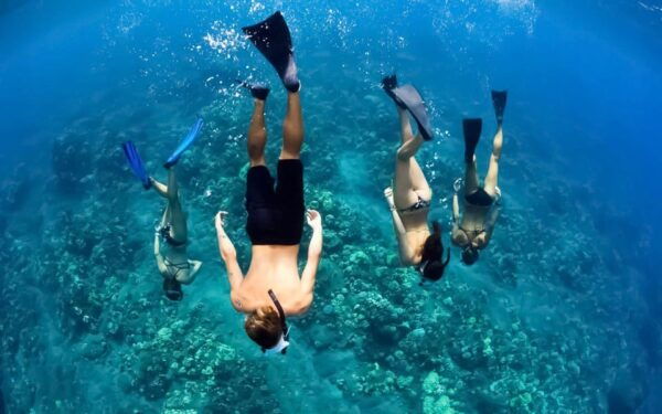 Maui: Thrilling Koa Kai Afternoon Snorkel Adventure - Frequently Asked Questions