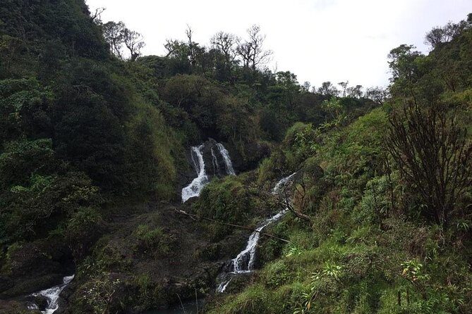 Maui Tour : Road to Hana Day Trip from Lahaina with Pick-up - FAQs