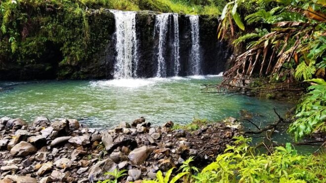 Maui Tropical Rainforest Eco Tour With Lunch - Additional Information