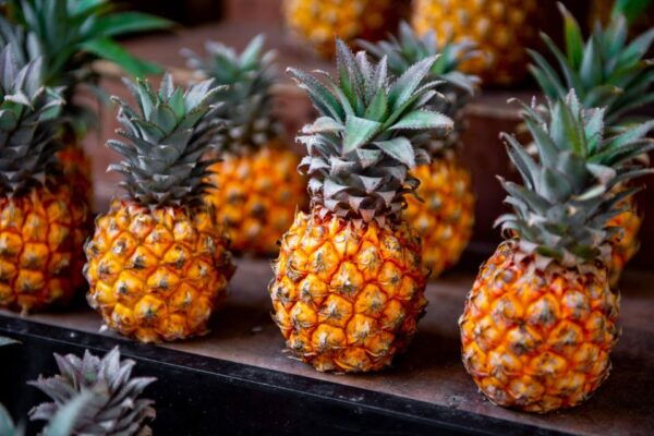 Maui Tropical Rainforest Eco Tour With Lunch - The Sum Up