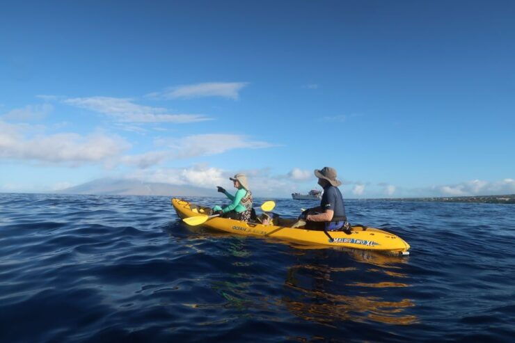 Maui: Turtle Town Kayak and Snorkel Tour - Booking Information