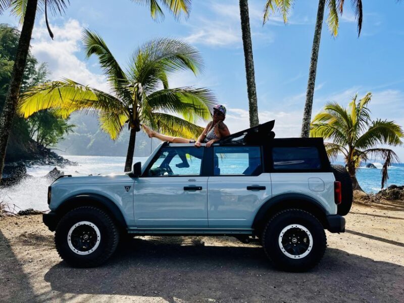 Maui: VIP Road to Hana Private Tour in Convertible SUV - Who Will Love This Tour?