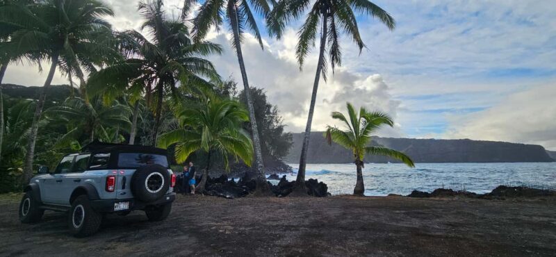 Maui: VIP Road to Hana Private Tour in Convertible SUV - Final Thoughts