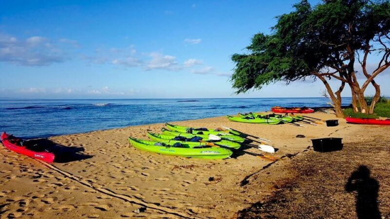 Maui: West Side Discovery Kayak & Snorkel from UKUMEHAME - The Bottom Line