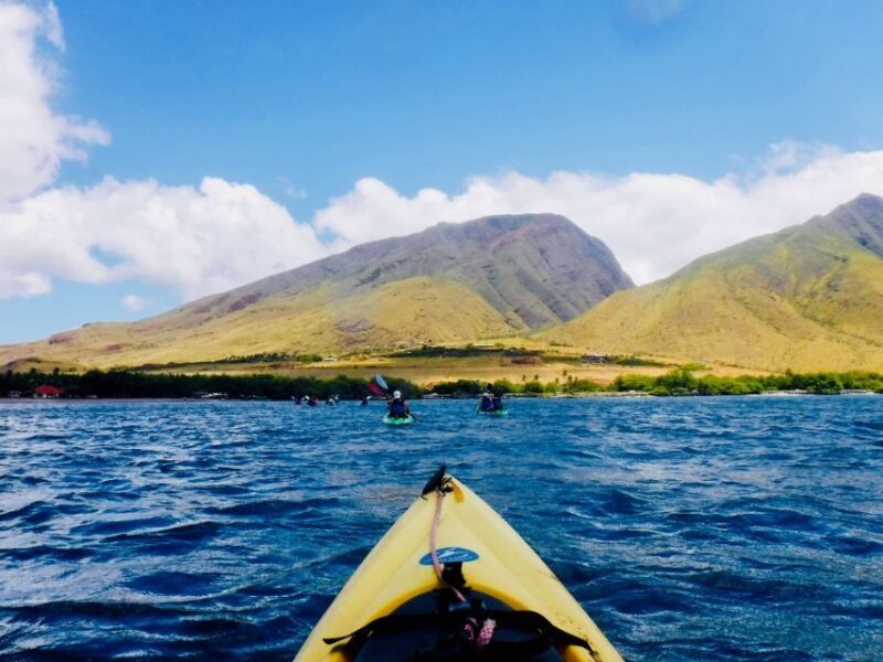 Maui: West Side Discovery Kayak & Snorkel from UKUMEHAME - Who Should Book This Tour?