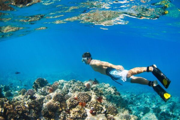 Maui: West Side Discovery Kayak & Snorkel From UKUMEHAME - Important Information