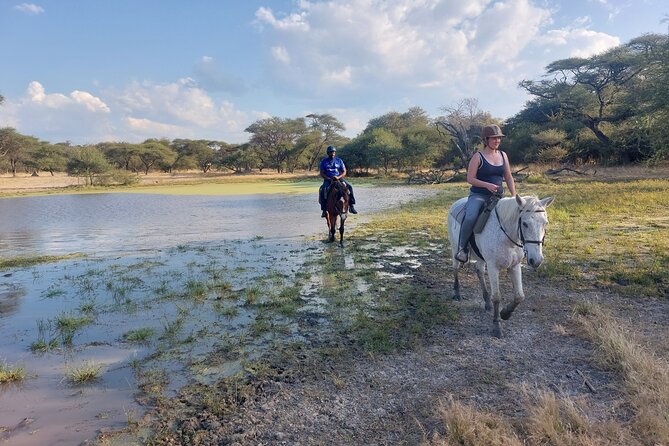 Maun Horse Riding Safari in Private Game Lodge - Good To Know