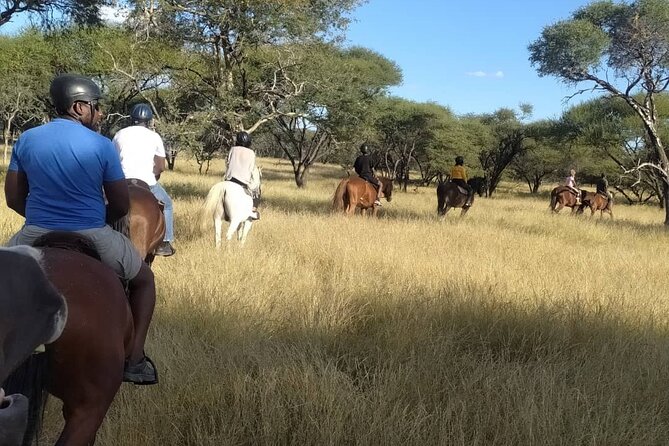 Maun Horse Riding Safari in Private Game Lodge - Cancellation Policy