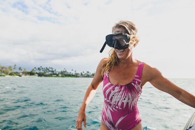 Mauna Kea 2hr One Stop Sealife Snorkel Adventure - What to Expect from the Mauna Kea Snorkel Adventure