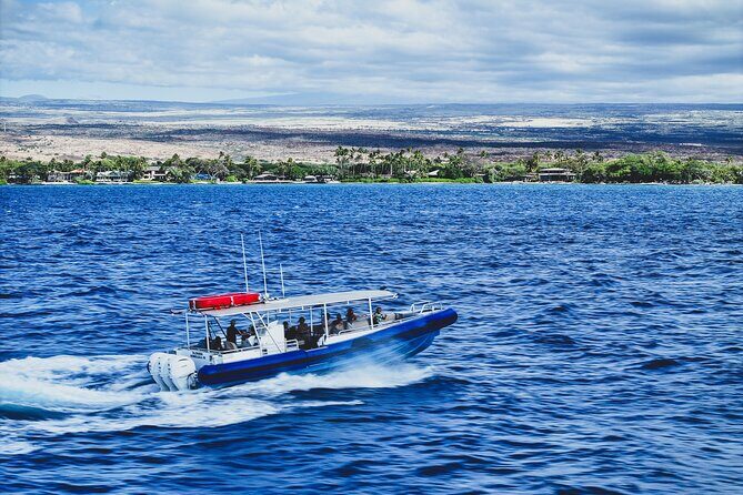 Mauna Kea 2hr One Stop Sealife Snorkel Adventure - Who Is This Tour Best For?