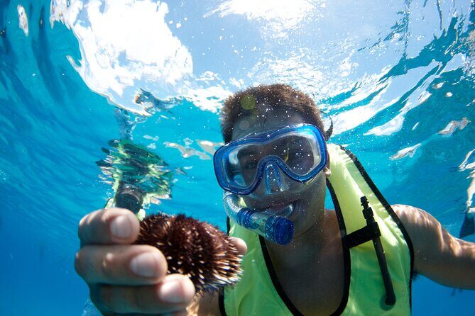 Mauna Kea 3hr Two Stop Sealife Snorkel Adventure - Discover the Mauna Kea 3hr Two Stop Sealife Snorkel Adventure: An authentic ocean escapade