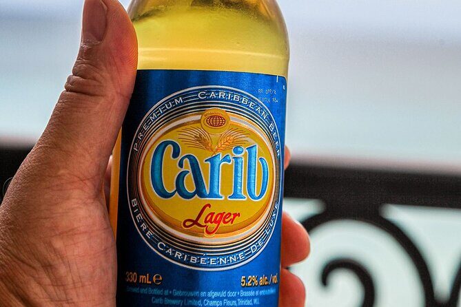 Maurice Bishop Airport Fast Track & Private Transfer Roundtrip - The Arrival Experience: Fast Track VIP Service