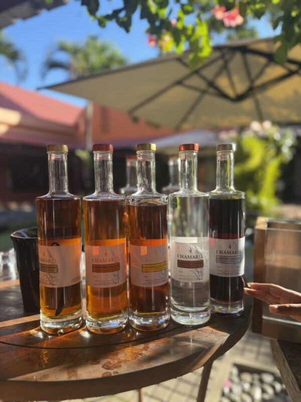 Mauritius Chamarel & Rhumerie Full-Day Private Discovery - At the rhumerie: confirm the visit and tasting details