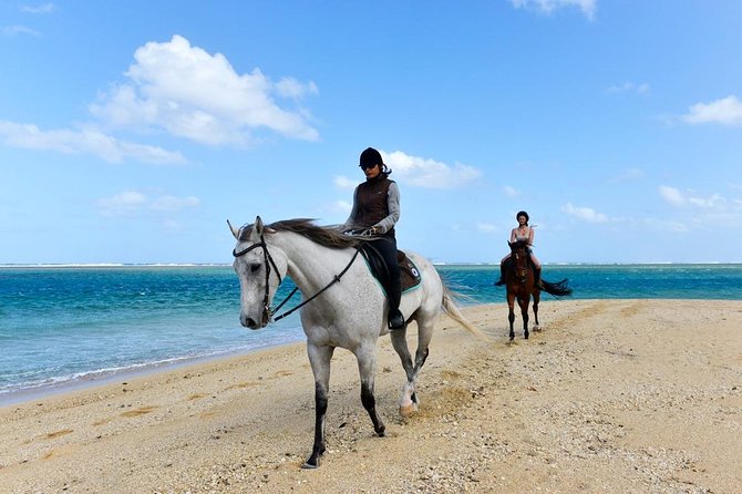 Mauritius Horse Riding at Riambel - Tour Highlights