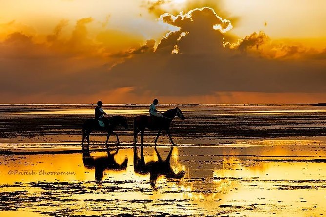 Mauritius Horse Riding at Riambel - What to Expect