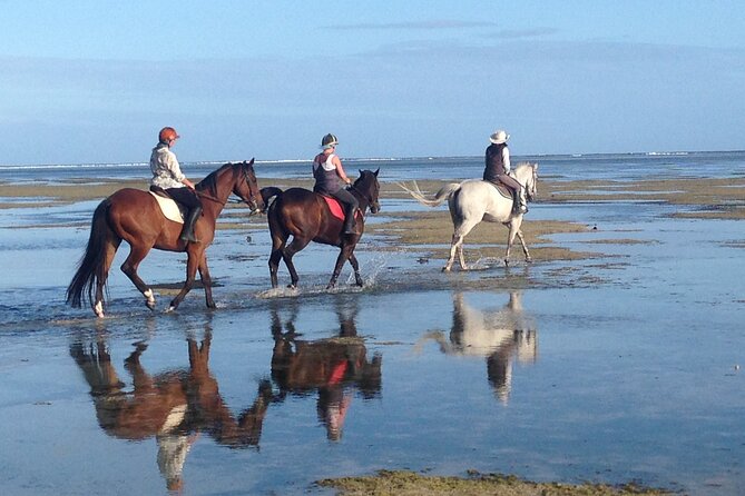 Mauritius Horse Riding at Riambel - Meeting Point Details