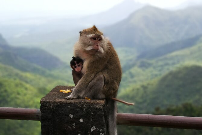 Mauritius South Tour (Private) - Inclusions