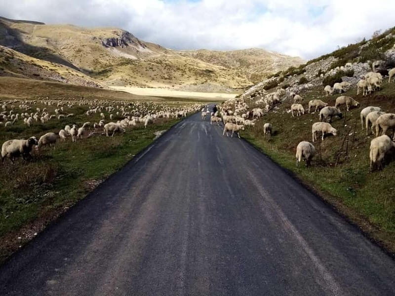 Mavrovo, Galicnik and Jovan Bigorski Monastery from Skopje - Final Thoughts