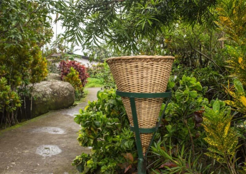 Mawlynnong: Guided Day Trip from Shillong with Hotel Pickup - Cultural Encounters and Sustainable Practices