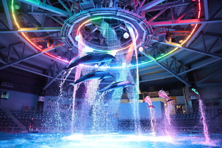Maxell Aqua Park Shinagawa Ticket - Quick take: what to know before you go