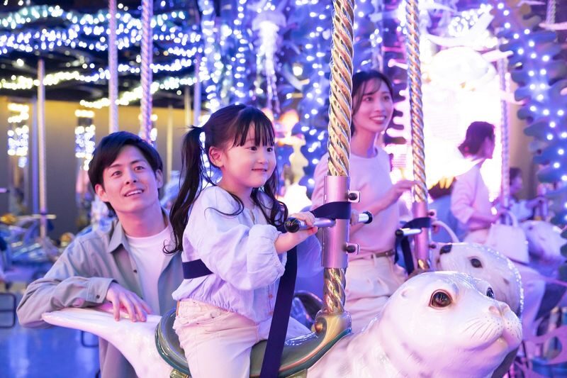 Maxell Aqua Park Shinagawa Ticket - The dolphin show: plan your visit around the Stadium