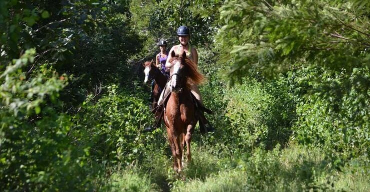 Maya Adrenaline: Horse, Quad, Ziplines, Rappel & Cenote - Included Activities