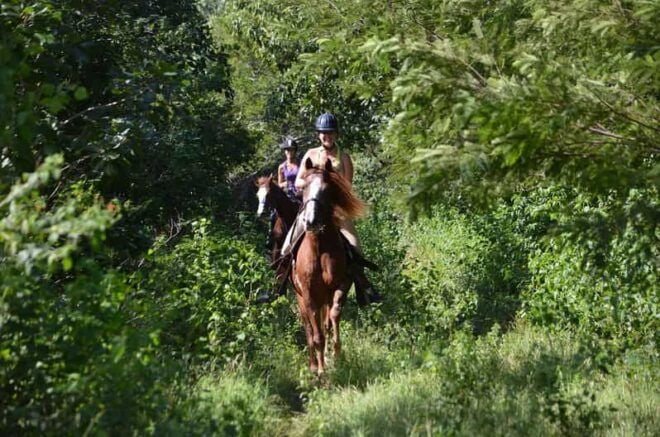 Maya Adrenaline: Horse, Quad, Ziplines, Rappel & Cenote - Meeting Point Options
