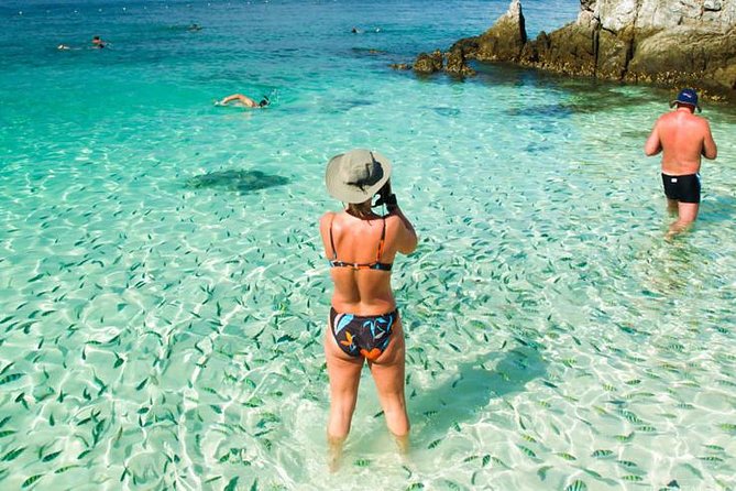 Maya Bay, Money Beach, Phi Phi Khai Island Tour by Speed Boat - Booking and Availability