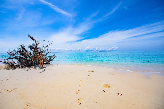 Maya Bay, Monkey Bay and Phi Phi Island Snorkeling Tour From Koh Lanta - Common Questions