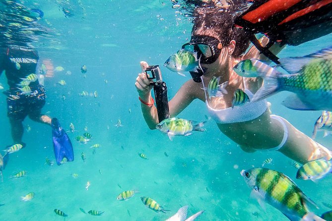 Maya Bay, Phi Phi Don Island, and Khai Island Boat Tour 2023 - Southern Thailand and Andaman Coast - Tour Details