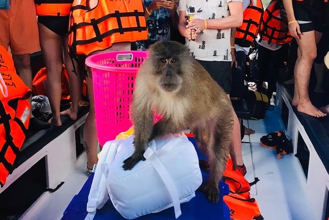 Maya Bay, Phi Phi Don Island, and Khai Island Boat Tour 2023 - Southern Thailand and Andaman Coast - The Sum Up
