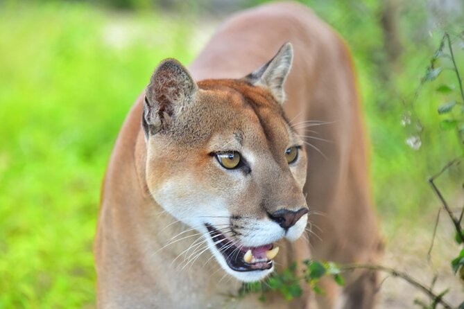 Maya Culture and History, Secluded Island and Animal Rescue Center at Maya Key - Pickup and Drop-off Information