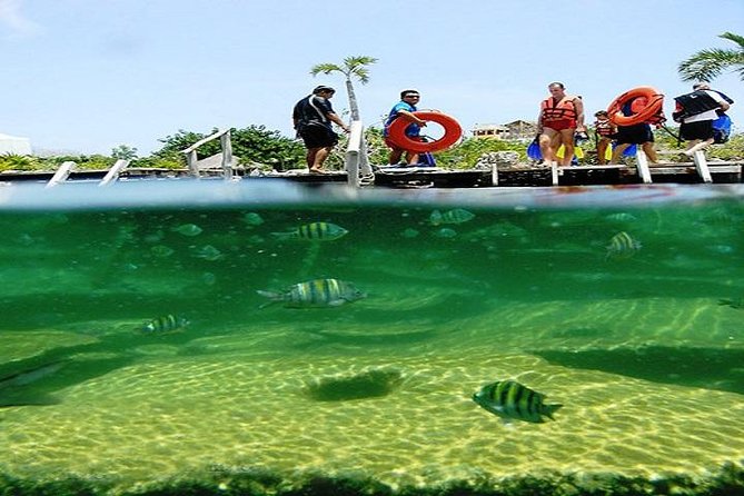 Mayan Adventure From Cancun - Tour Overview