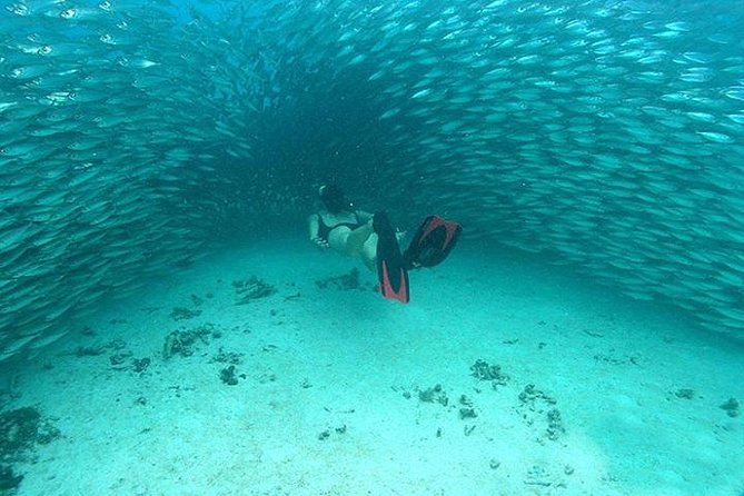 Mayan Adventure From Cancun - Traveler Photos