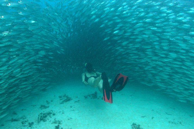 Mayan Adventure From Playa Del Carmen - Exploring Freshwater Caves and Mystical Sinkholes