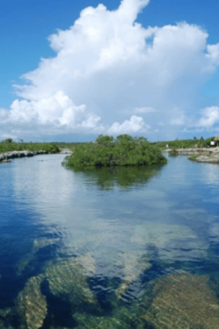 Mayan Adventure Snorkeling - Explore Marine Life